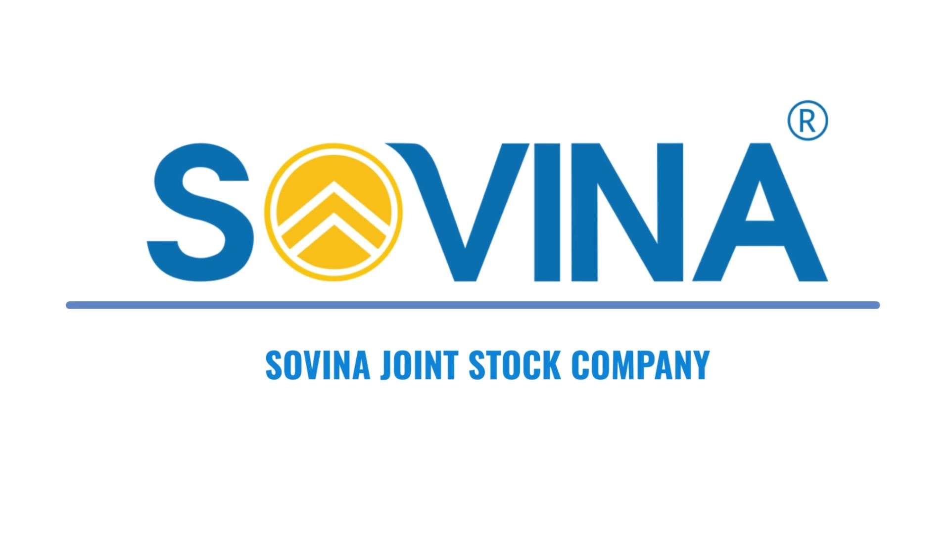 Our Company 1 SOVINA 2 1