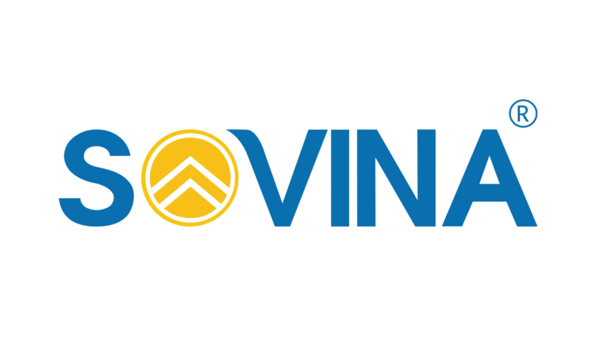 Our Company 1 SOVINA 2 1