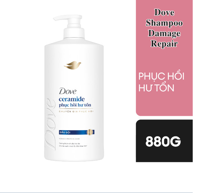 Dove Shampoo Ceramide Damage Repair 880g x8 Bottles help strengthen the protective barrier 4 3 62