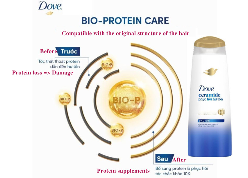 Dove Shampoo Ceramide Damage Repair 170g x36 Bottles help strengthen the protective barrier 4 3 66