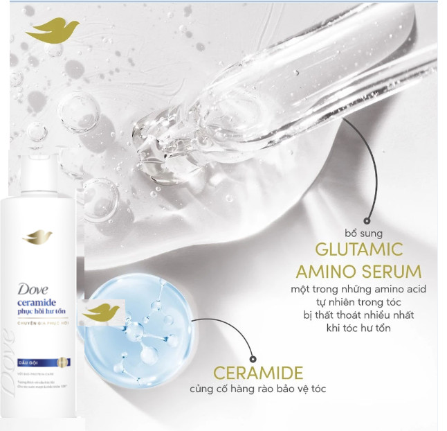 Dove Shampoo Ceramide Damage Repair 300g x12 Bottles help strengthen the protective barrier 5 4 43
