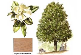 Magnolia Conifera wooden chopsticks 100 Pairs x 40 bags (4.5mmx203mm) - A 3 3 26