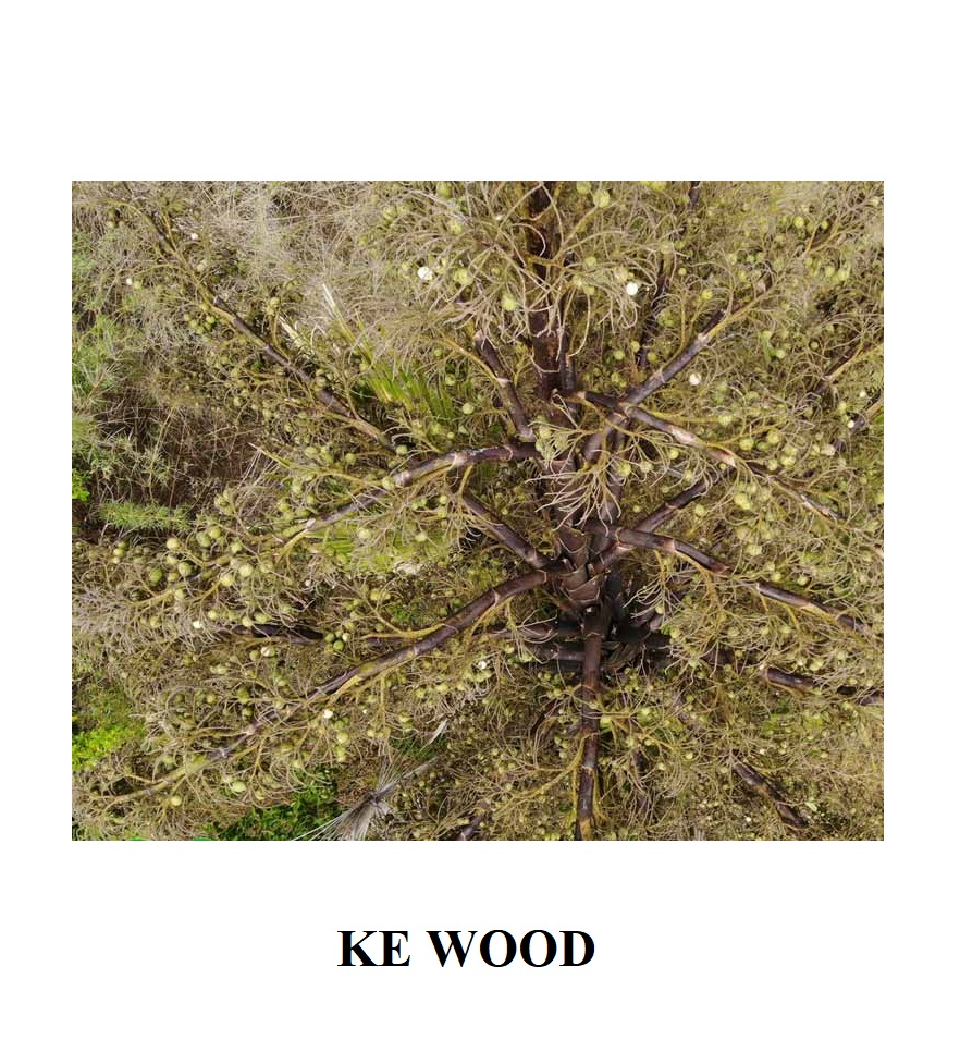 Ke Wooden Chopsticks 8x4x24cm 10 Pairs/ Pack, 200 packs/ Carton 3 3 32