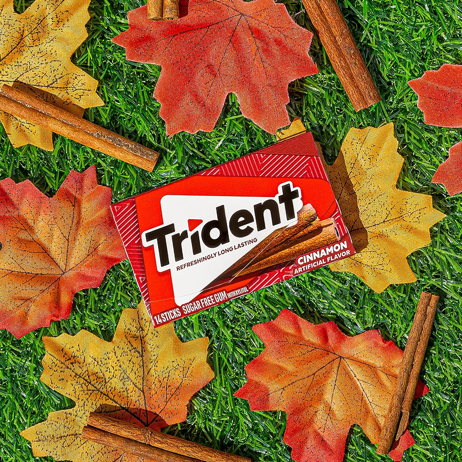 Trident Pocket Pack Cinnamon Sugar Free 28pcs/ box, 36 Boxes/ Case 4 4 4